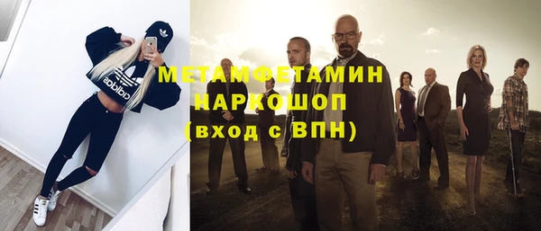 индика Шадринск