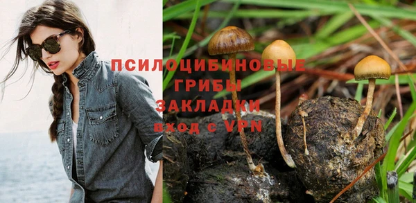 ALPHA PVP Володарск
