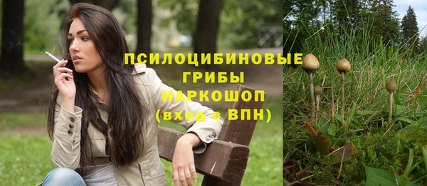 твердый Волоколамск