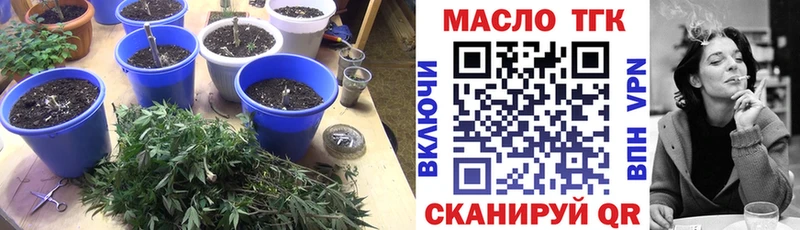 Купить где  Оха  ТГК концентрат 