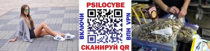 Купить закладки  Оха  Псилоцибиновые грибы Psilocybine cubensis 